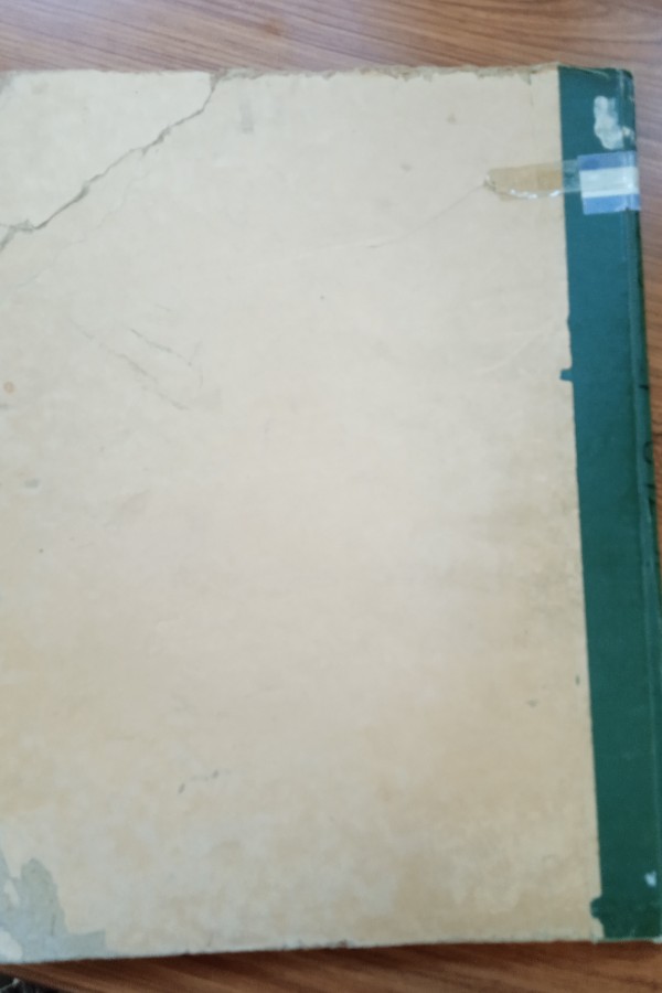 Renkli Resimli bilgi