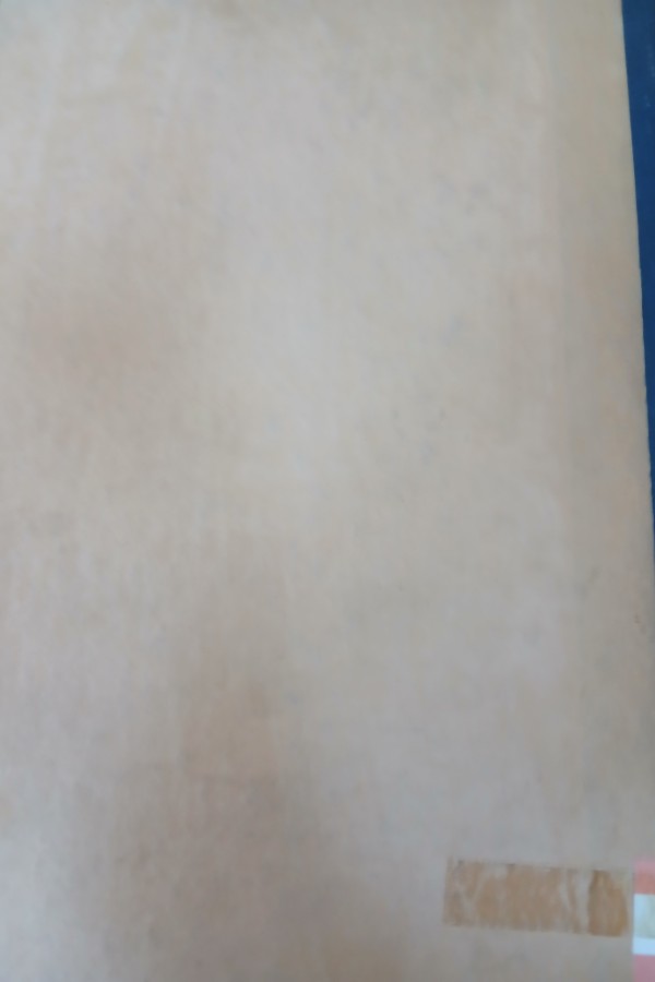 Geleneksel türk sporlar semineri