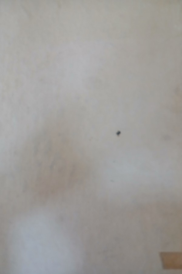 Atatürk haftası armağanı