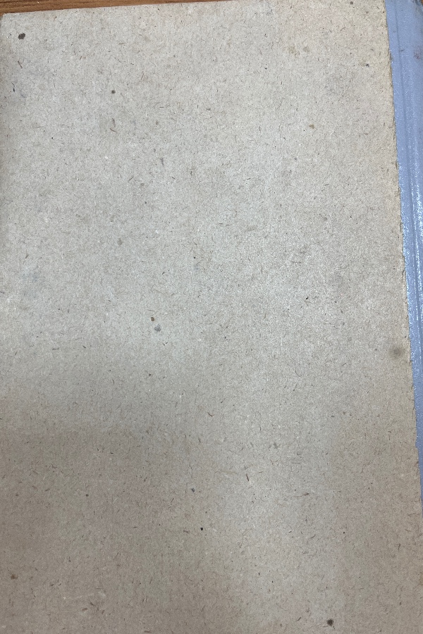 Türk Dünyası Araştırmaları   17