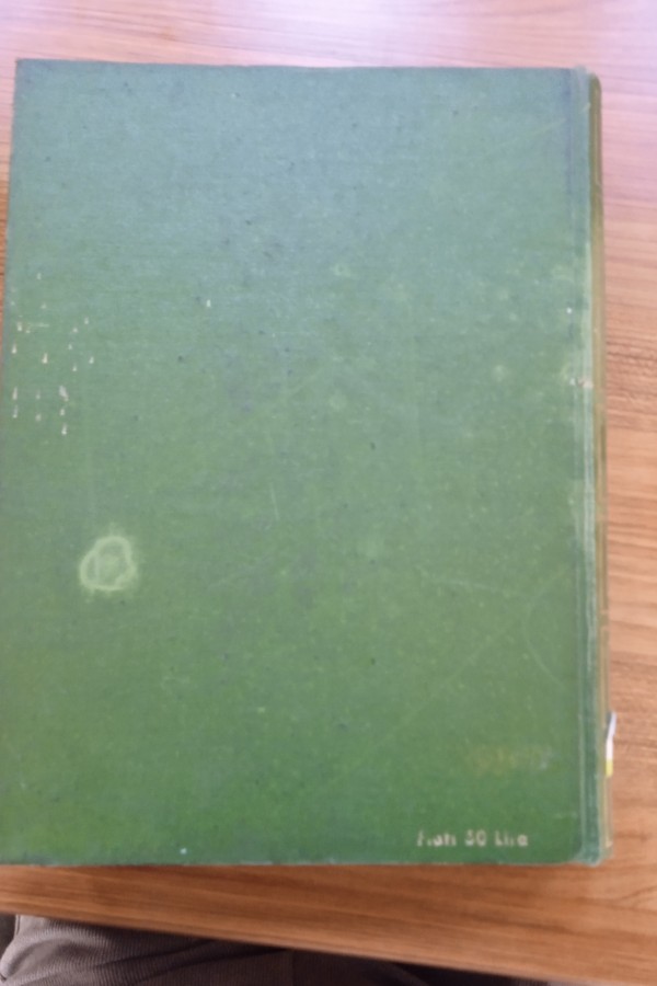 Resimli büyük türk dili sözlüğü