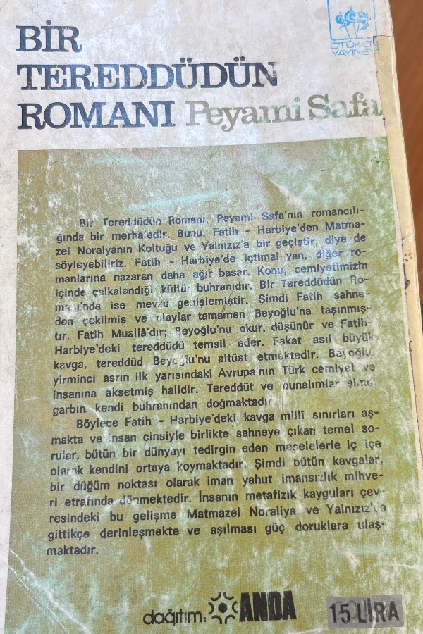Bir Tereddüdün Romanı