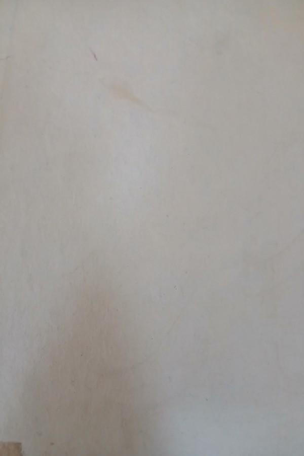 Memeli hayvanlarımız