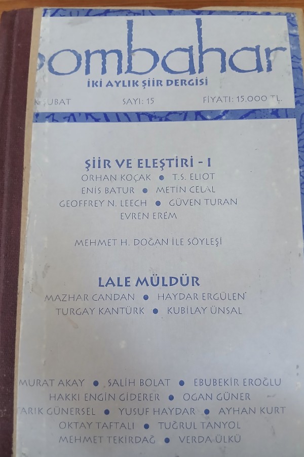 Şiir ve eleştiri -1