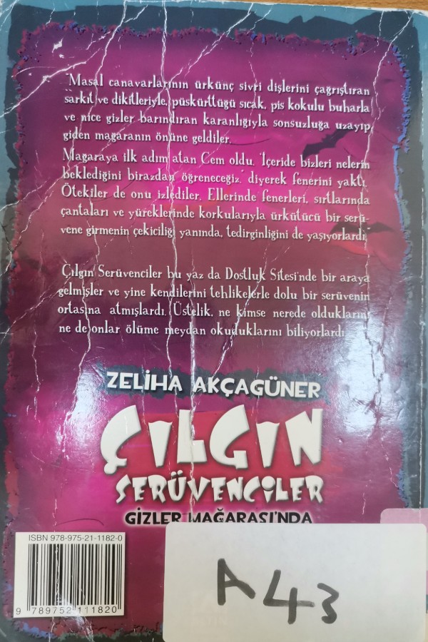 çılgın serüvenciler