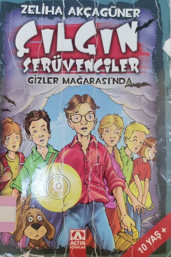 çılgın serüvenciler