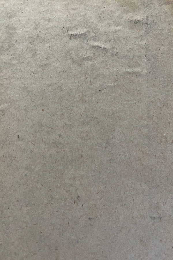 Türklerin soy kütüğü