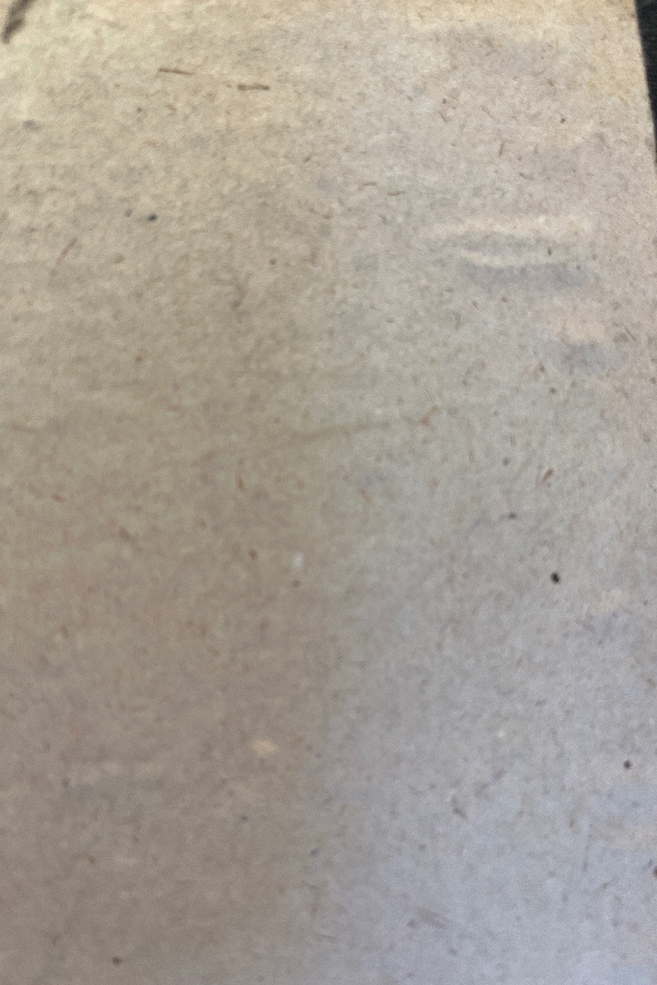 Mevlana ailesinde  Türk milleti ve devlet fikri