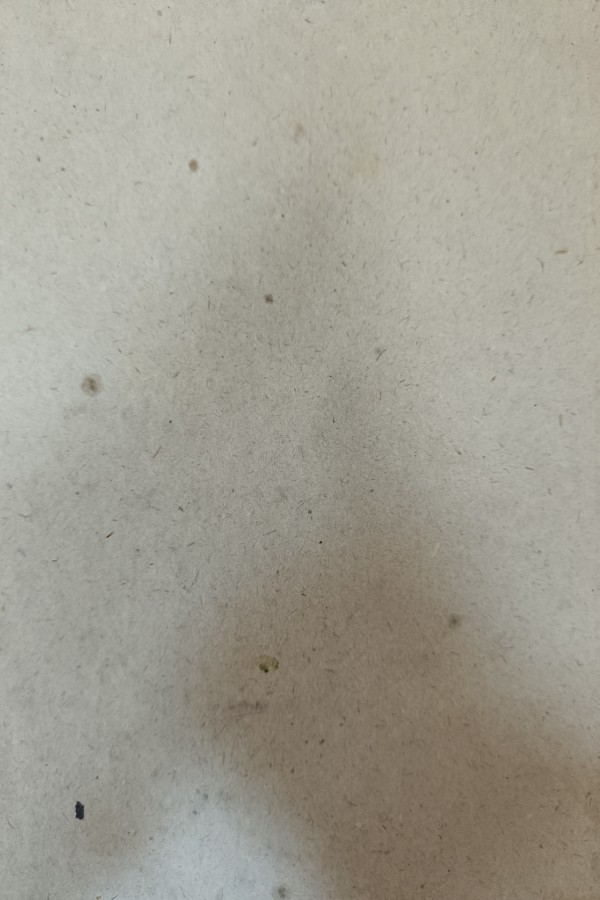 Türk Kültürü Dergisi 288