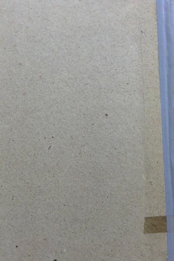 İstanbul'da Gömülü Meşhur Adamlar