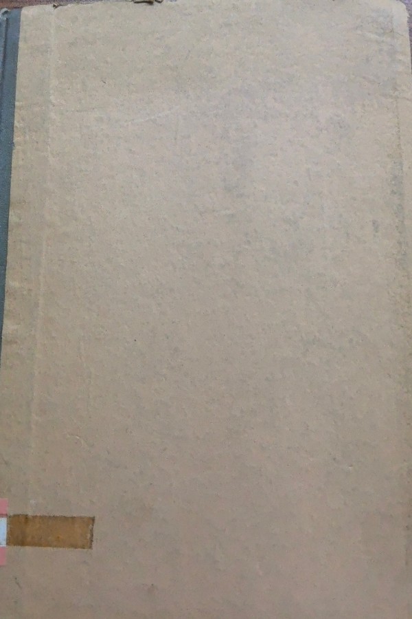 Türk Plastik Sanatları