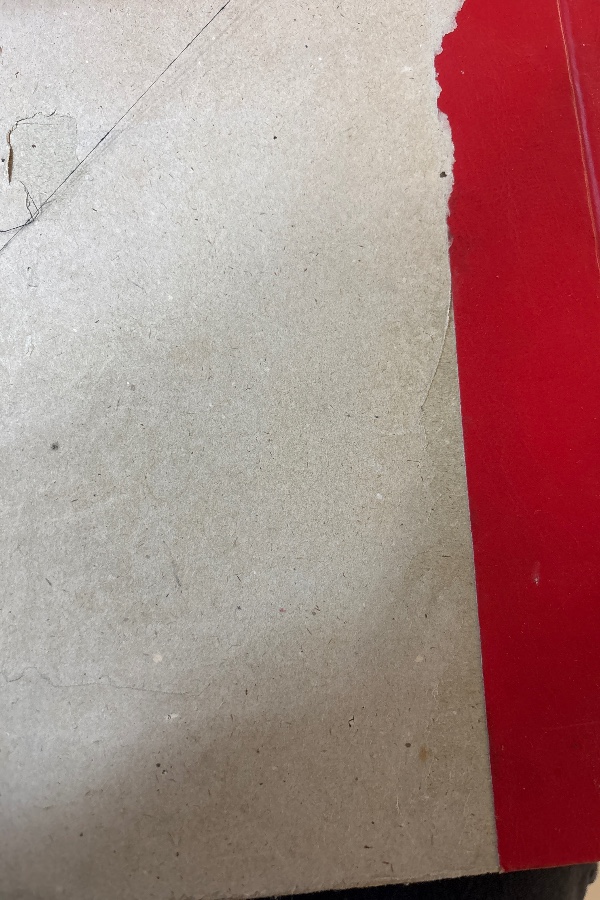 Hayat Ansiklopedisi 5.cilt