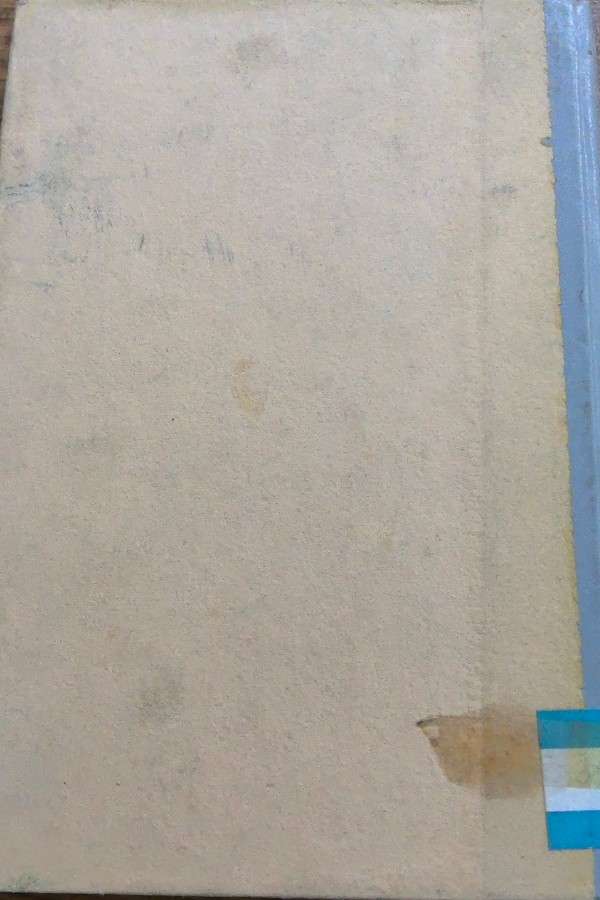 Atatürkçülük üzerine denemeler