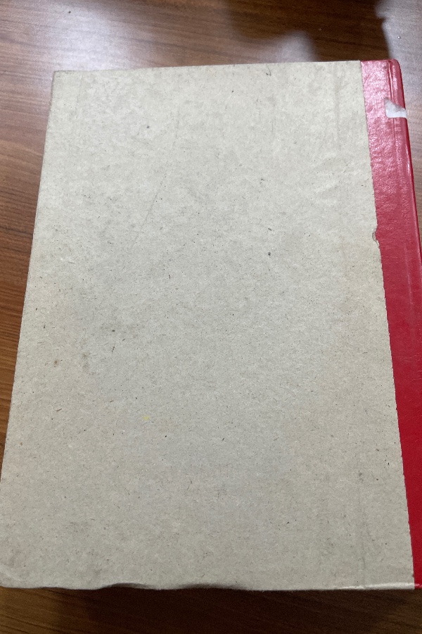 Türkiye Günlüğü