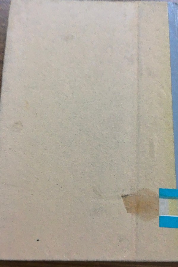 Anafartalar kumandanı Mustafa Kemal ile Mülakat