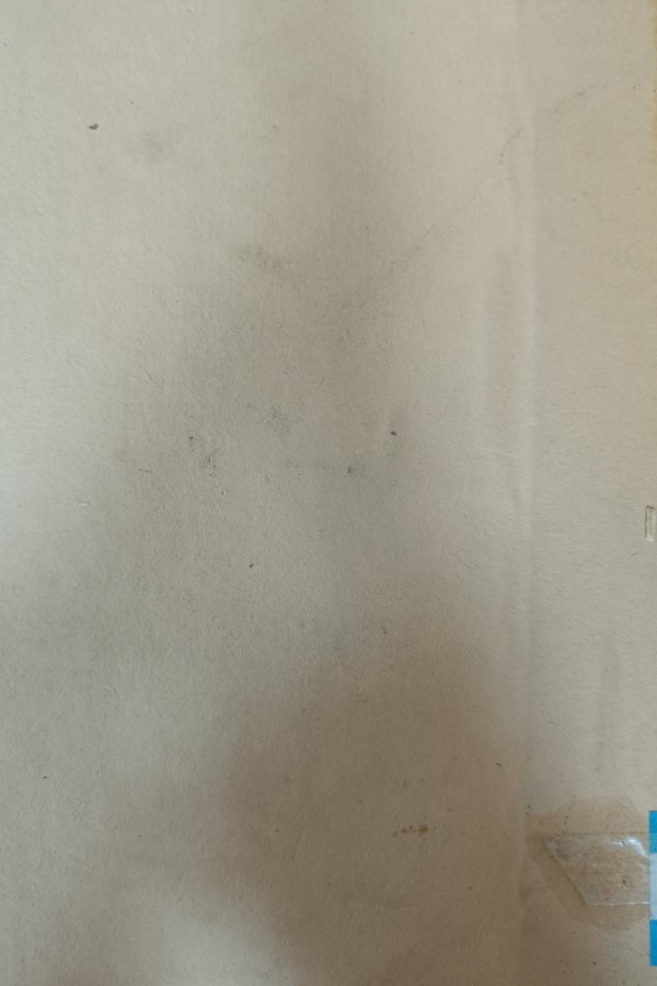 Sevr Antlaşması ve Aydın (İzmir) Vilayeti