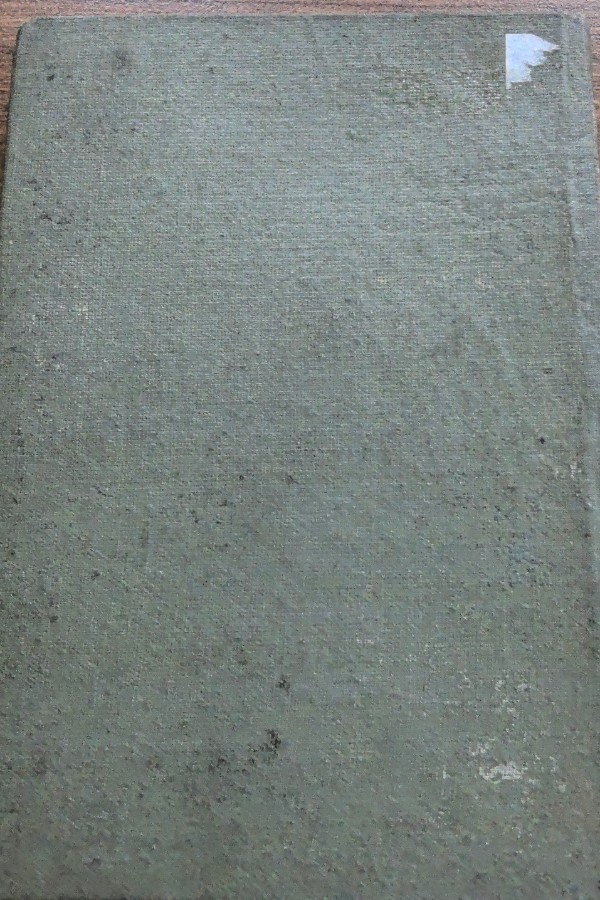 Büyük Türkiye stratejisi