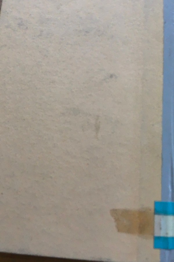 Bayraklaşan Atatürk