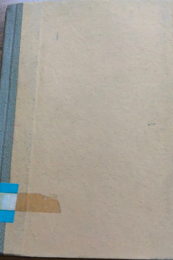 Atatürk'ten yazdıklarım