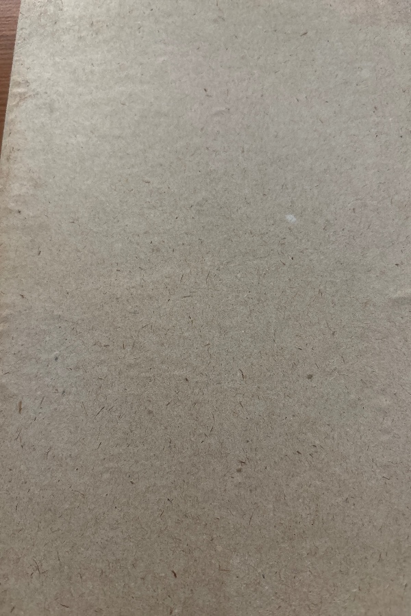 Türk Dünyası Araştırmaları