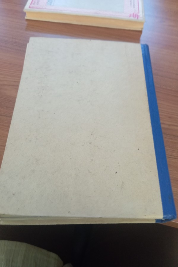 Türkiye günlüğü