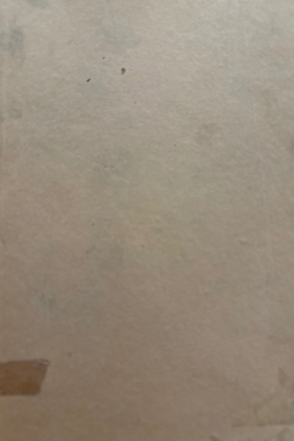 Türk Mali Tarihine Toplu Bir Bakış ve Maliyeci Şairler Antolojisi