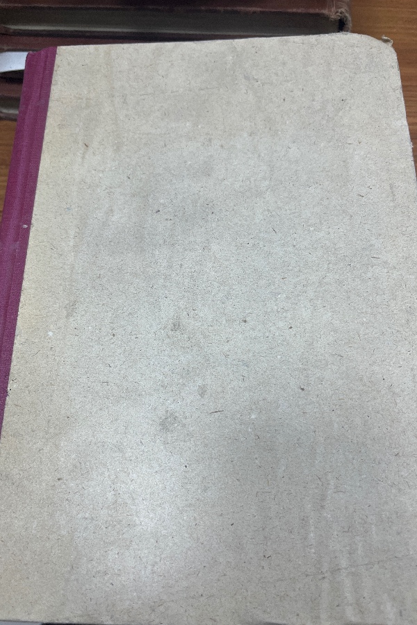 Gerçeküstücülük ve Türk edebiyatı