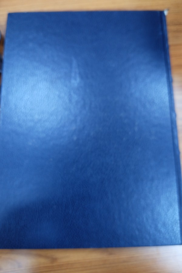 Gloriel international americana