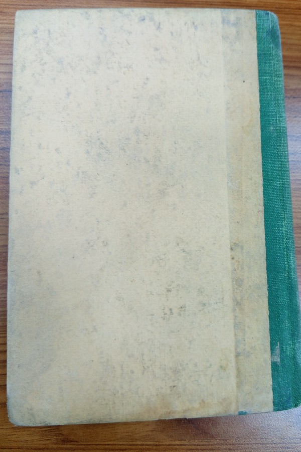 Edmonde de amicis istanbul