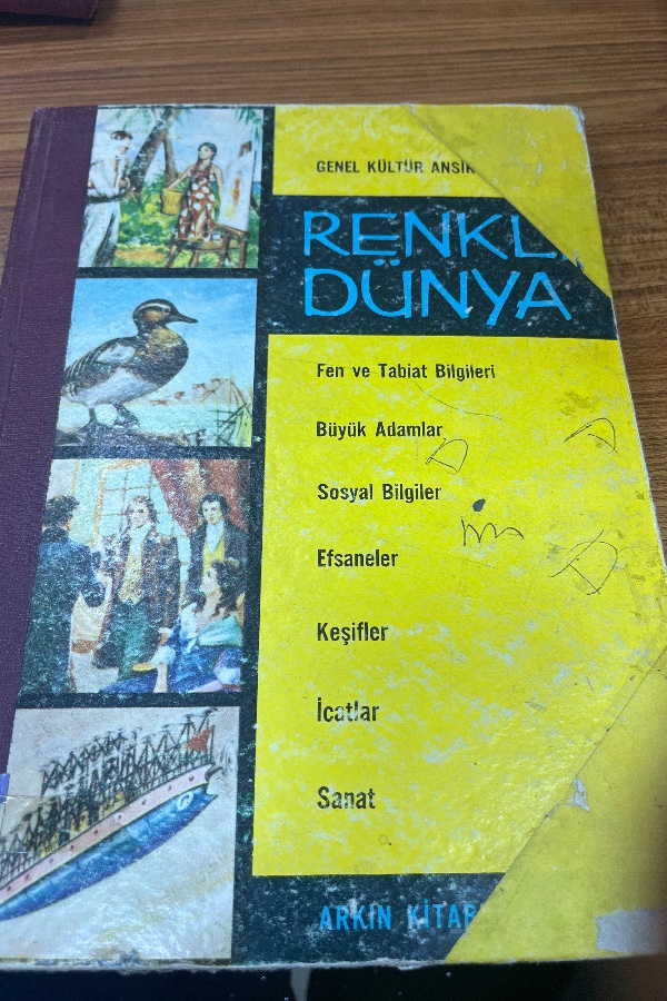 Renkli dünya