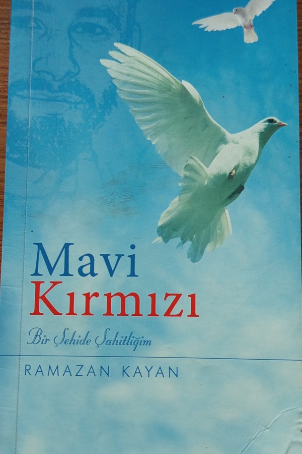 Mavi kırmızı