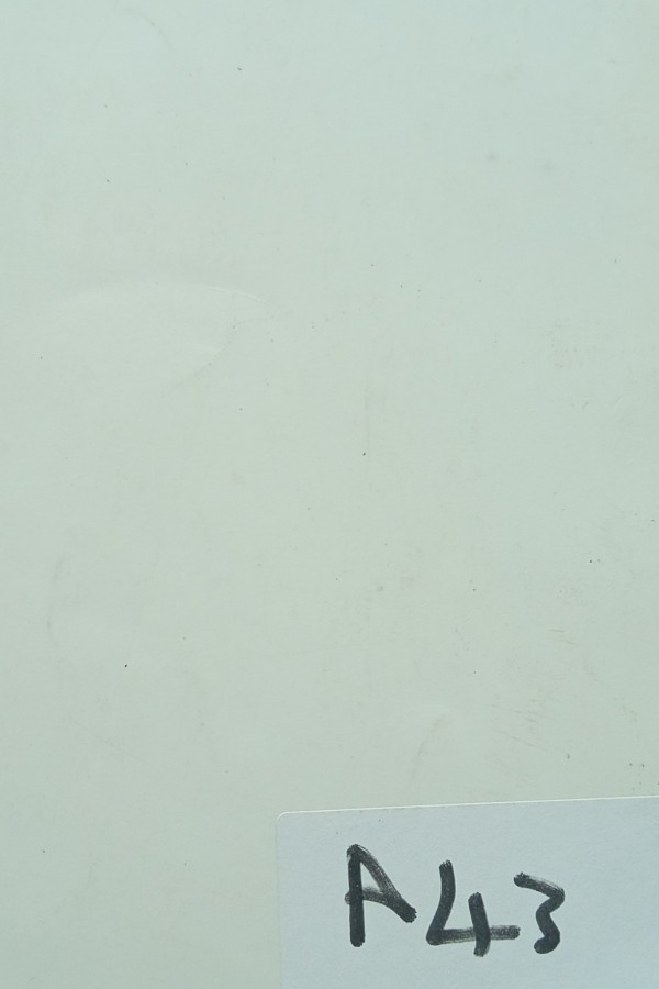 1. Ulusal kadın kongresi