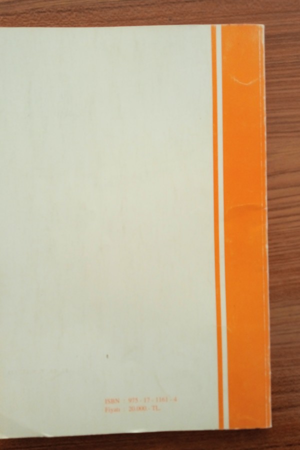 İbn batuta'ya göre Anadolu'nun sosyal - kültürel ve iktisadî hayatı ile ahîlik