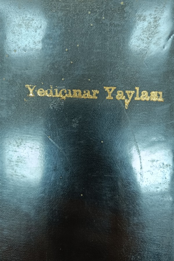 Yediçınar Yaylası