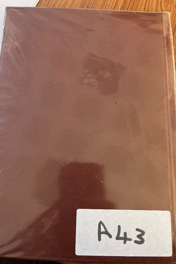 Amerikan Kütüphaneneciliği