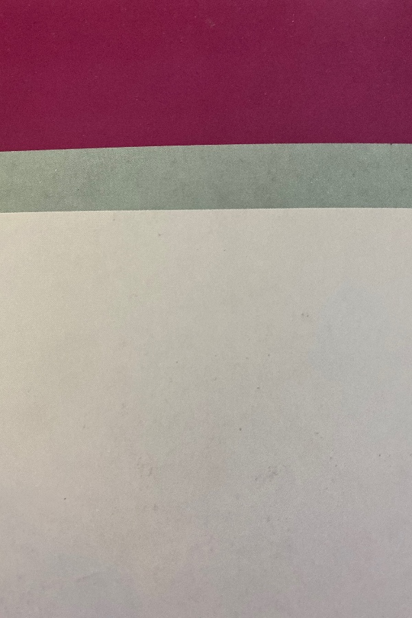 21.yüzyıl ansiklopedisi