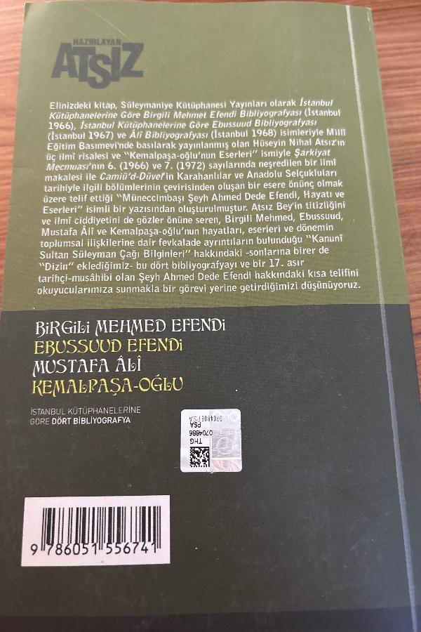 BİRGİLİ MEHMED EFENDİ