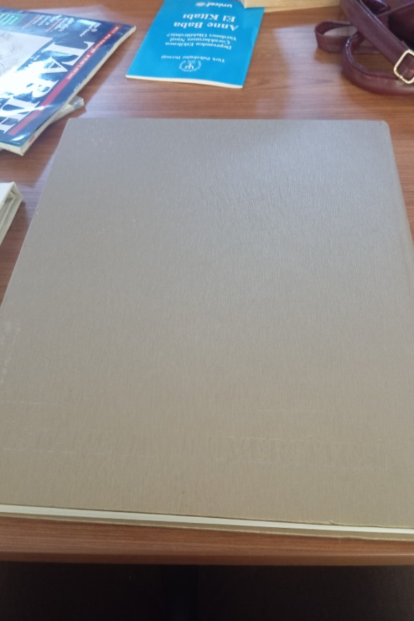 İstanbul üniversitesi