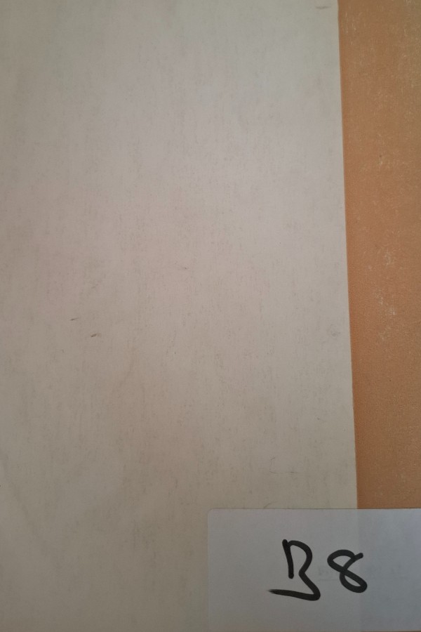 Türk mutfağı sempozyum bildirileri