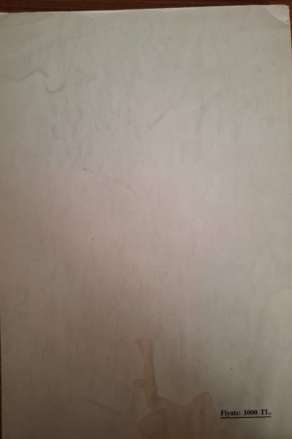 Türk milli bütünlüğü içerisinde doğu Anadolu