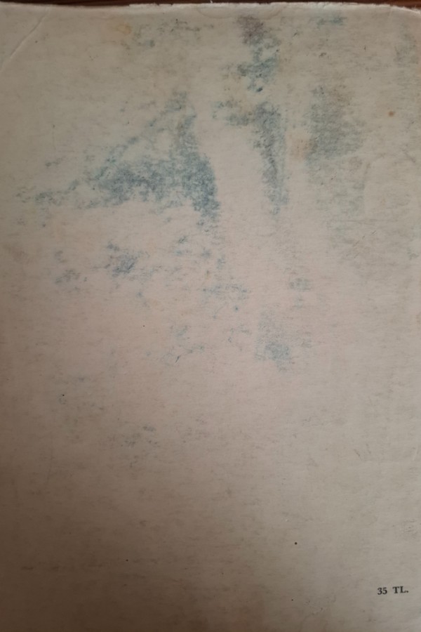 Selçuklular tarihi ve türk İslam medeniyeti