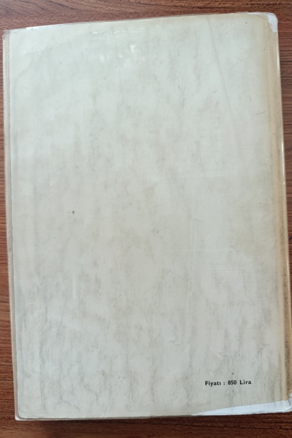 Anadolu Beylikleri Ve Akkoyunlu, Karakoyunlu Devletleri