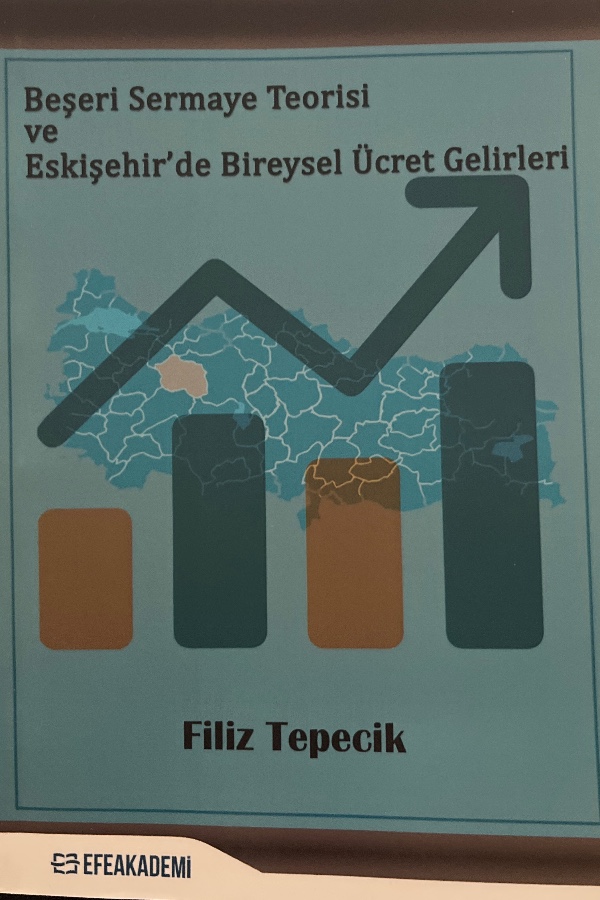 Beşeri Sermaye Teorisi ve Eskişehir’de Bireysel Ücret Gelirkeri