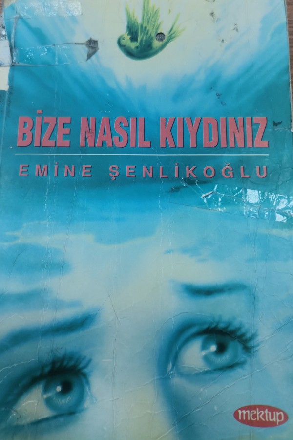 Bize nasıl kıydınız