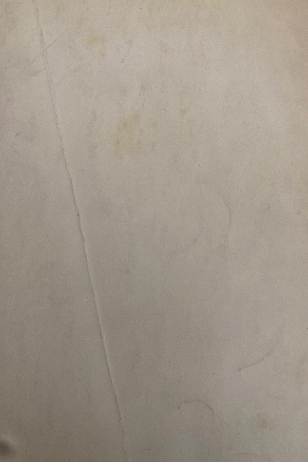 BULGAR TÜRKLERİ TARİHİ