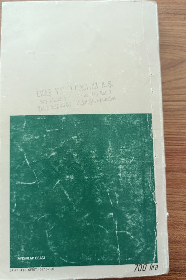 Türk İslam Sentezi