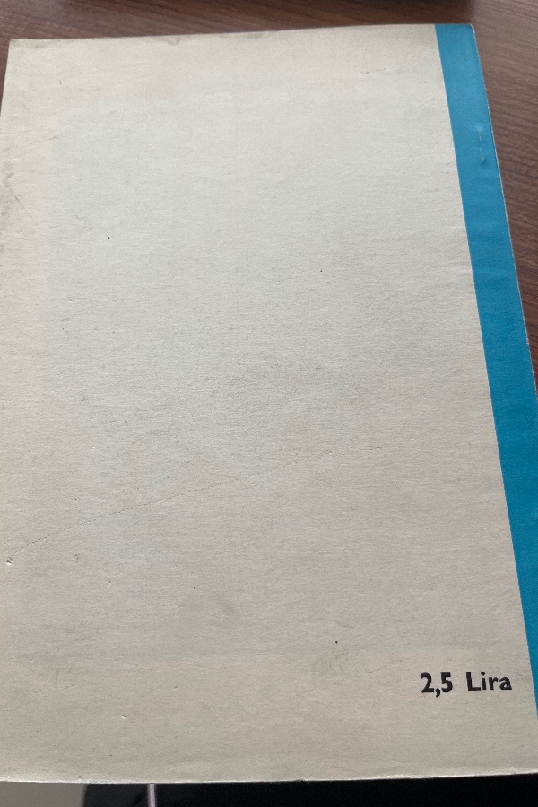 133 Türk Kültürü