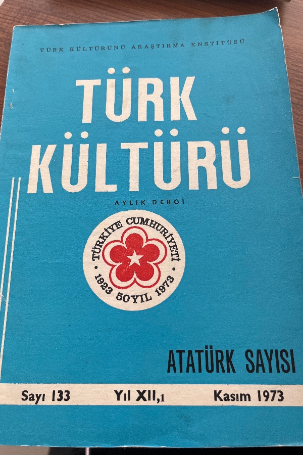 133 Türk Kültürü