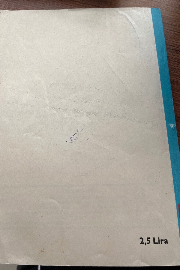 125 Türk Kültürü