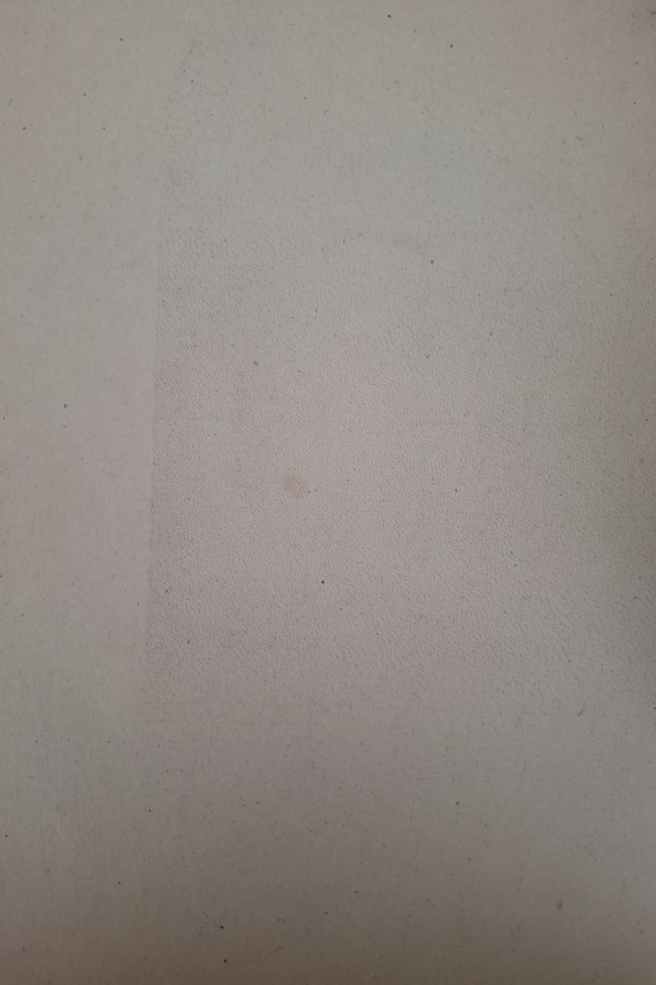 19. Yüzyılda erzurumda nüfus ve yerleşme